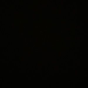 Meet your Posher, Phillip